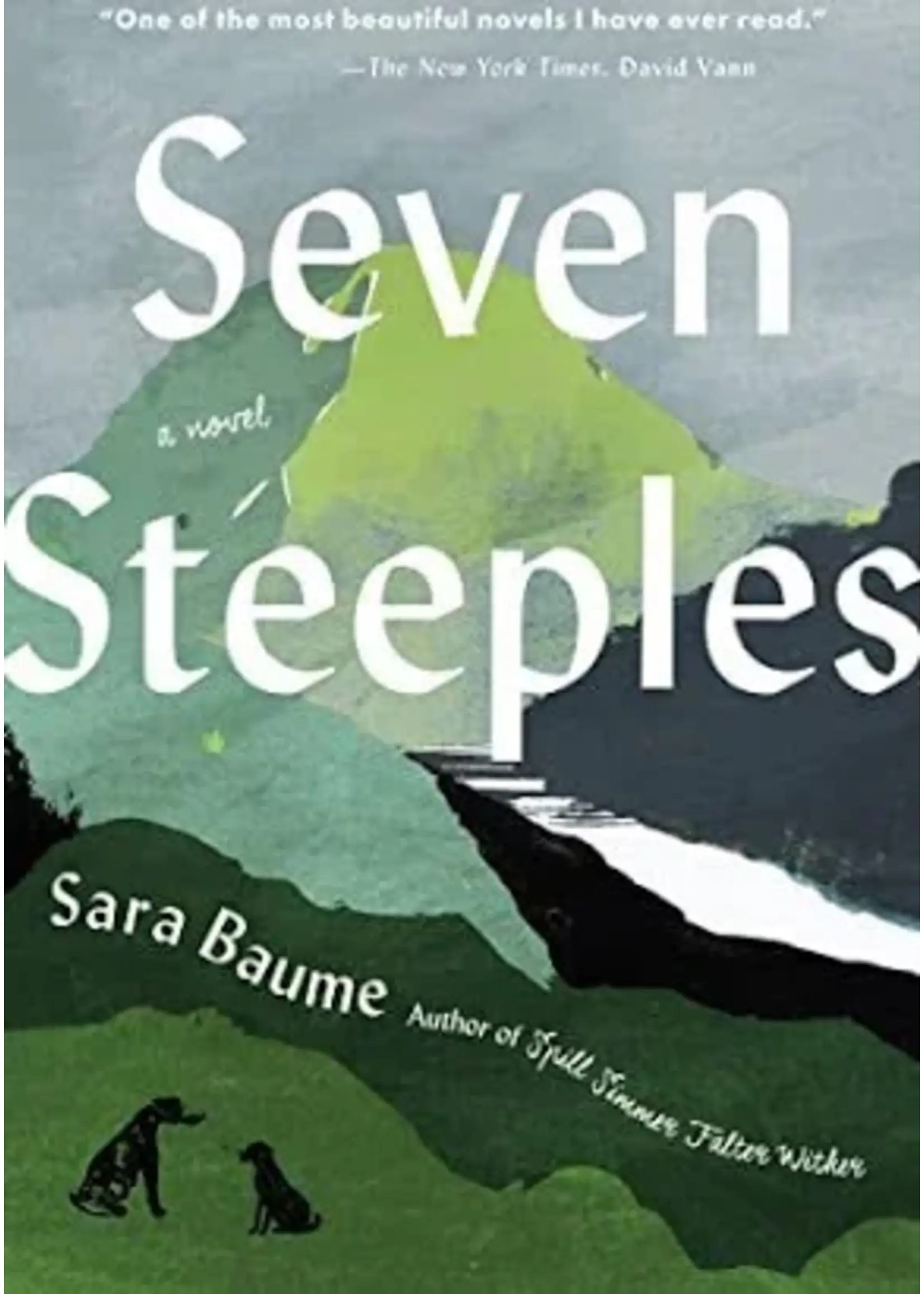 Sara Baume Seven Steeples