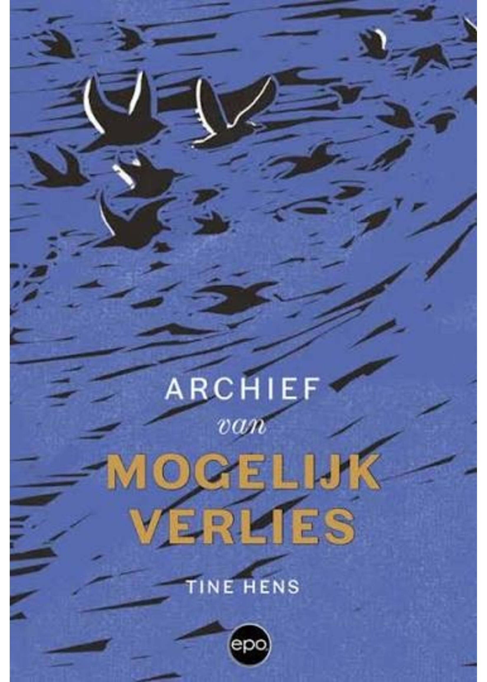 Tine Hens Archief van mogelijk verlies