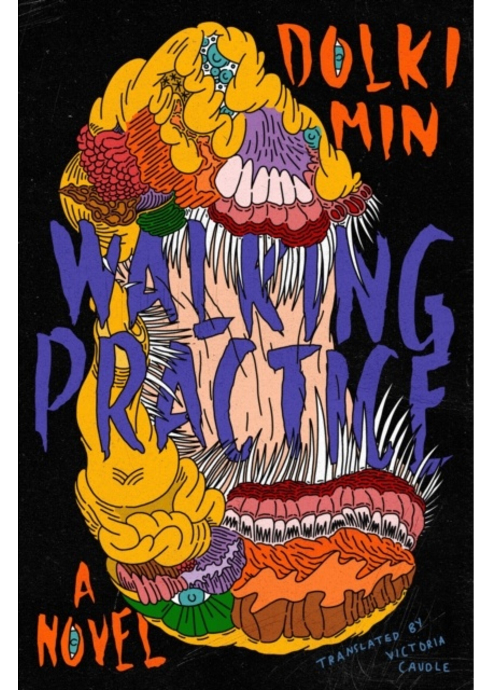 Dolki Min Walking Practice : A Novel