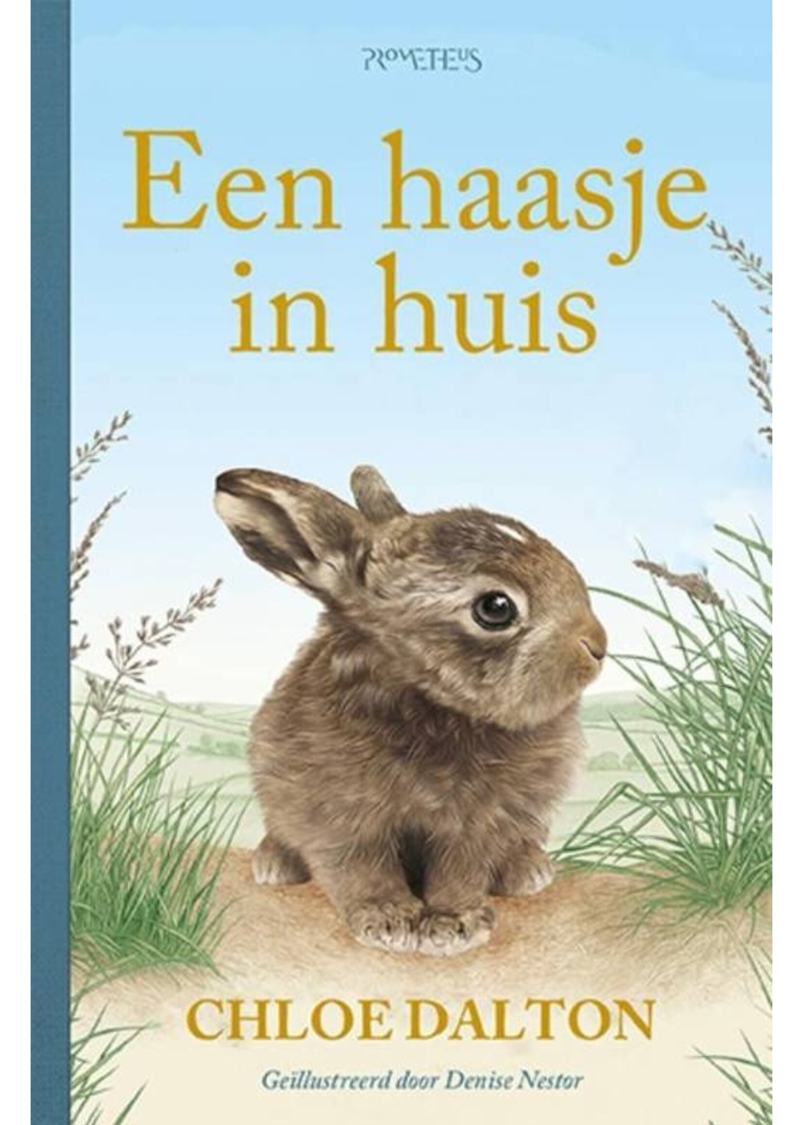 Chloe Dalton Een haasje in huis