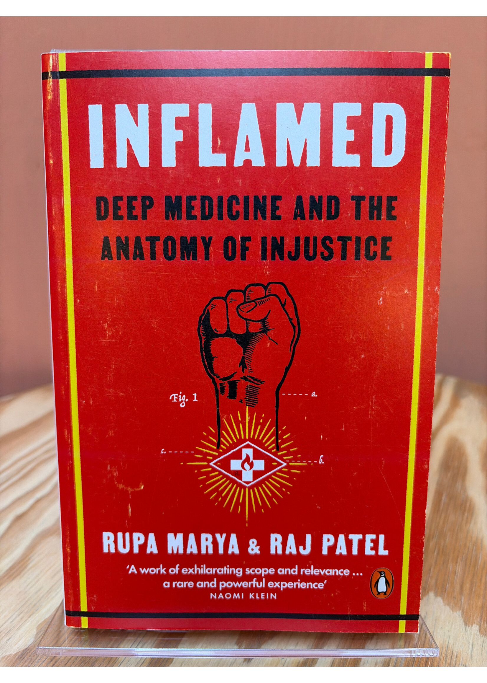Rupa Marya Inflamed : Deep Medicine and the Anatomy of Injustice