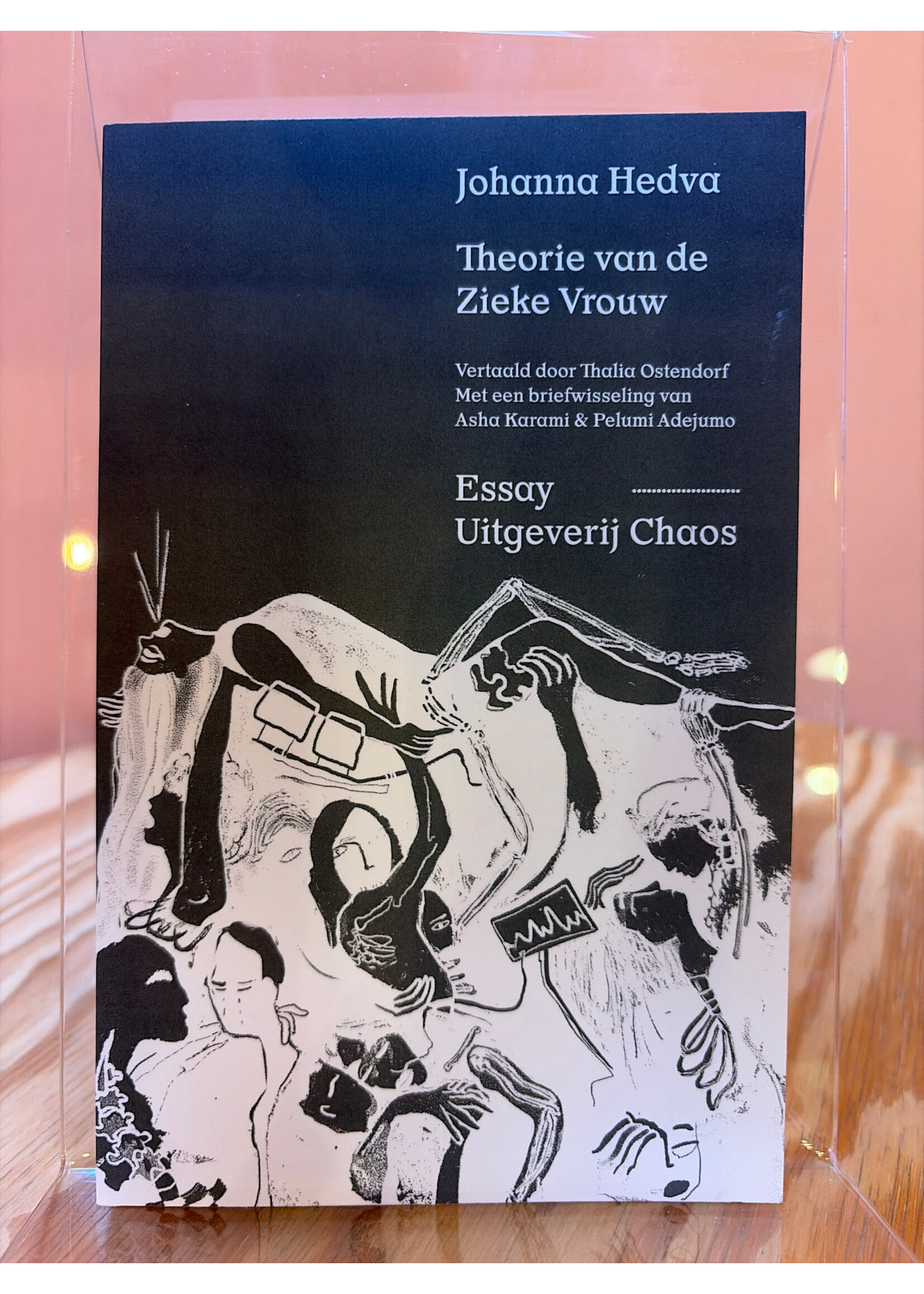 Johanna Hedva Theorie van de zieke vrouw