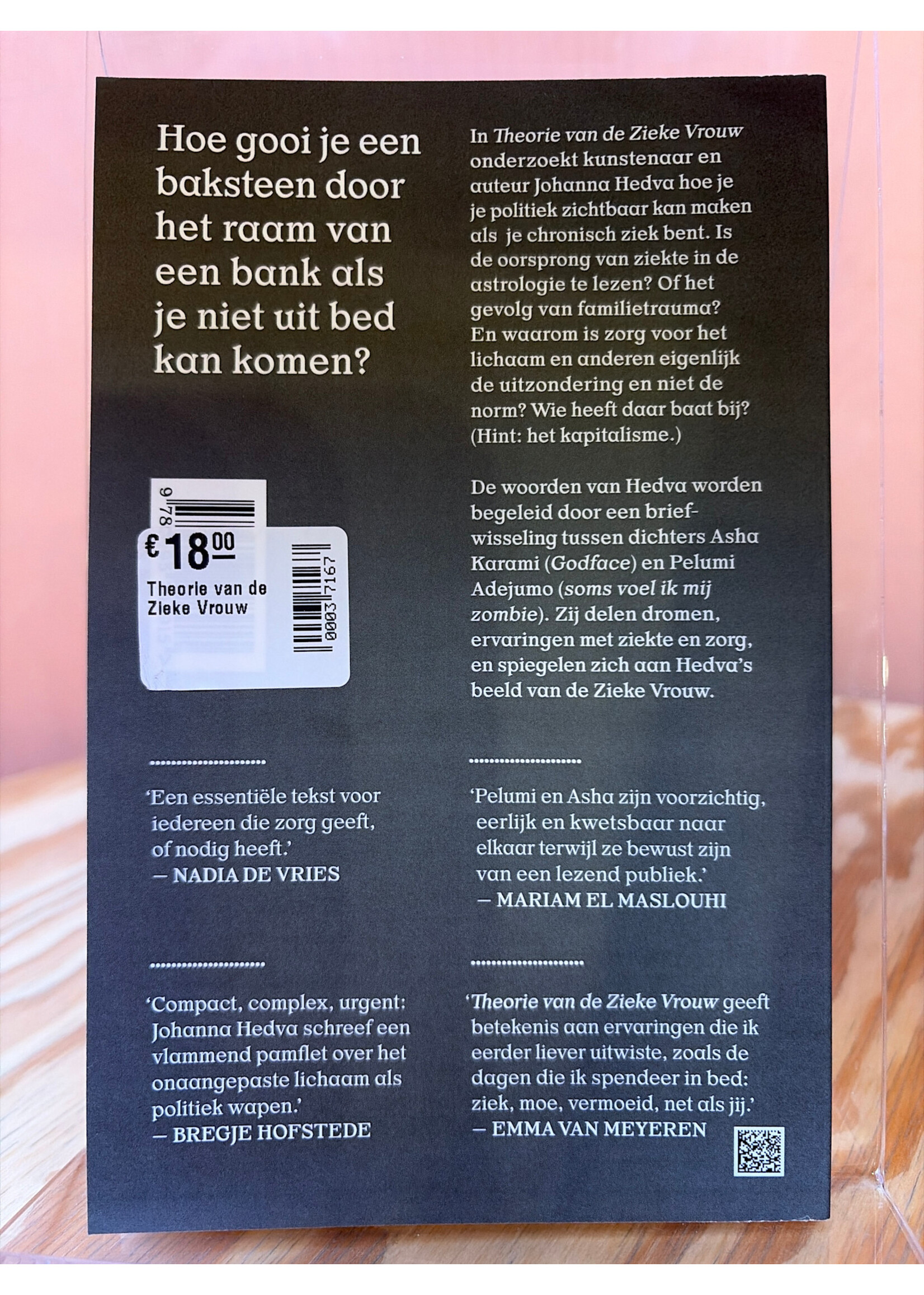 Johanna Hedva Theorie van de zieke vrouw