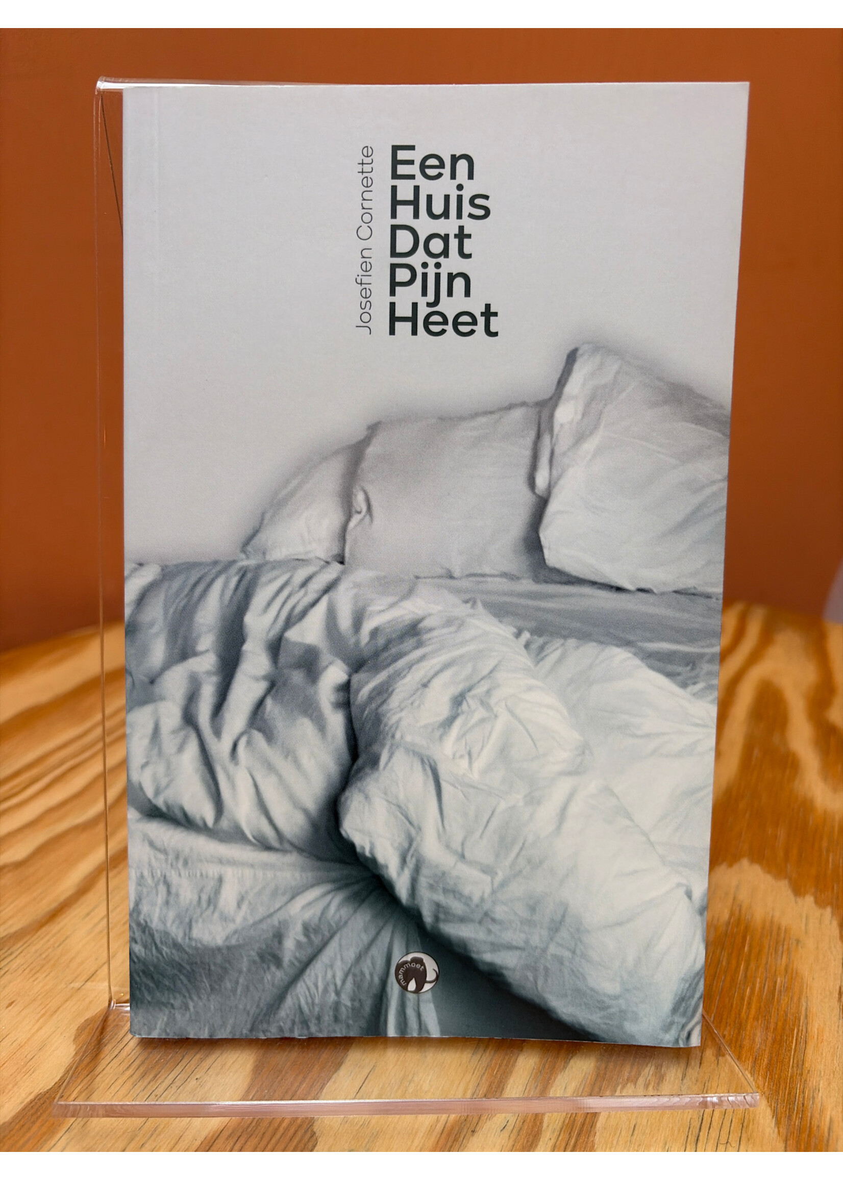 Josefien Cornette Een huis dat pijn heet