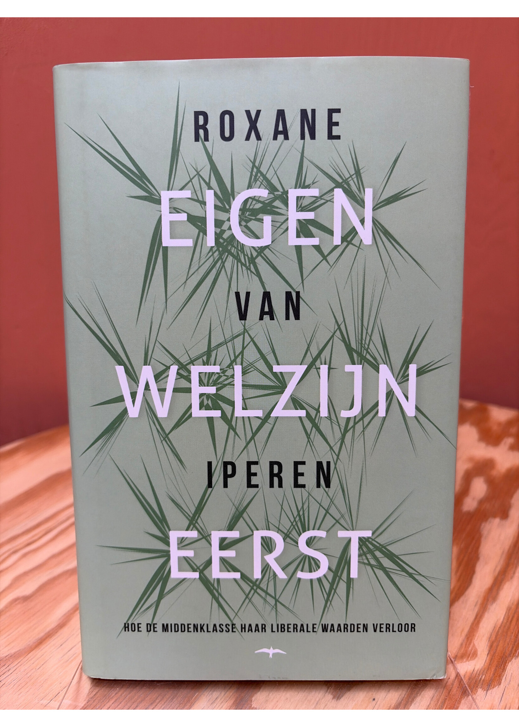 Roxane van Iperen Eigen welzijn eerst: hoe de middenklasse haar liberale waarden verloor