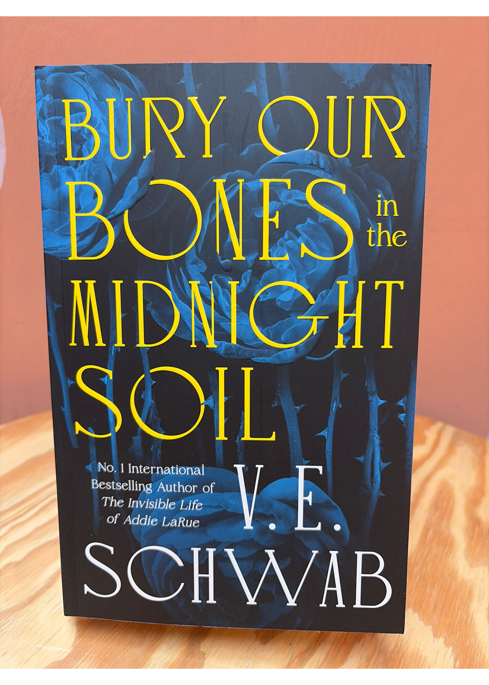 V. E. Schwab Bury Our Bones in the Midnight Soil