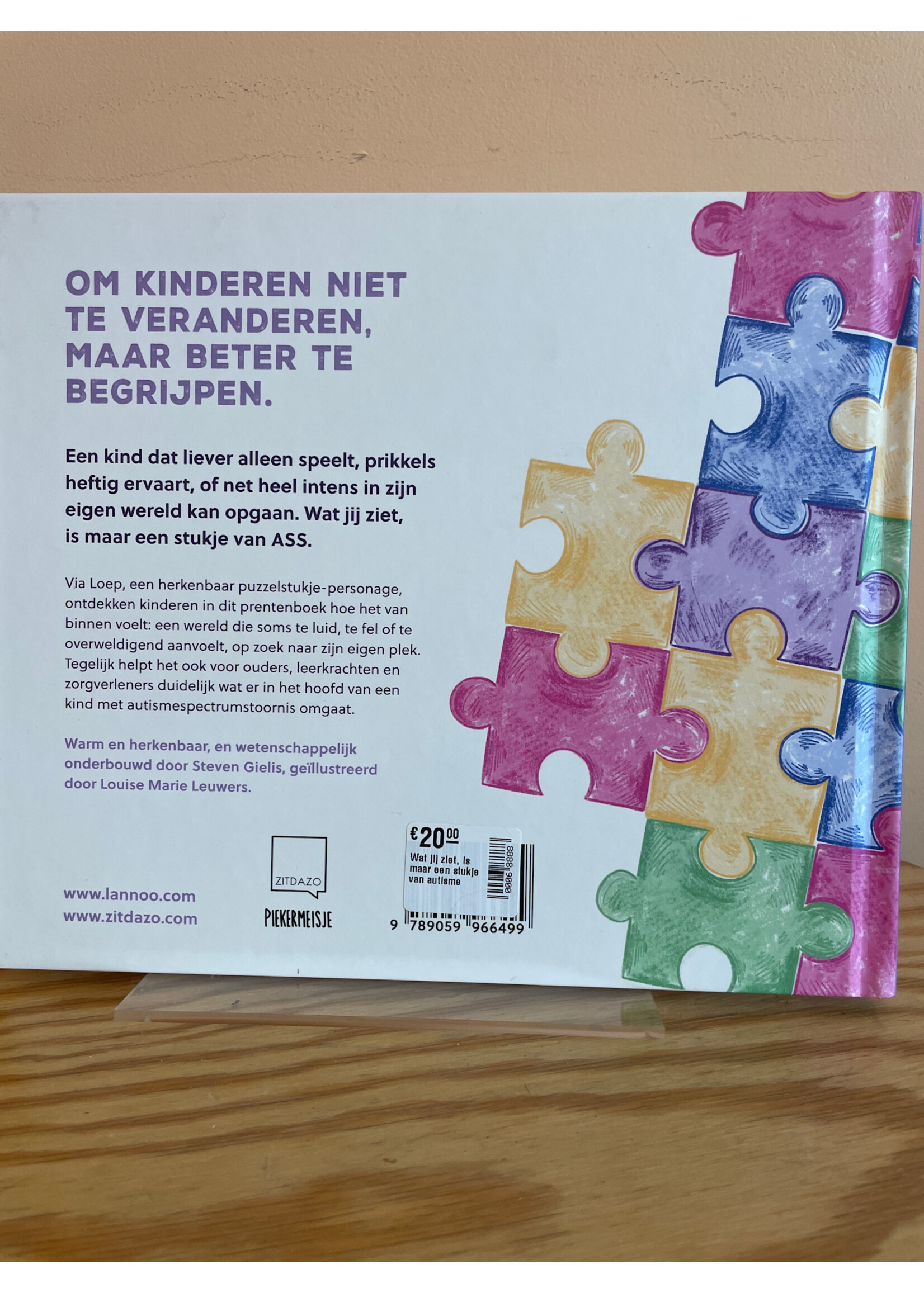 Wat jij ziet, is maar een stukje van autisme