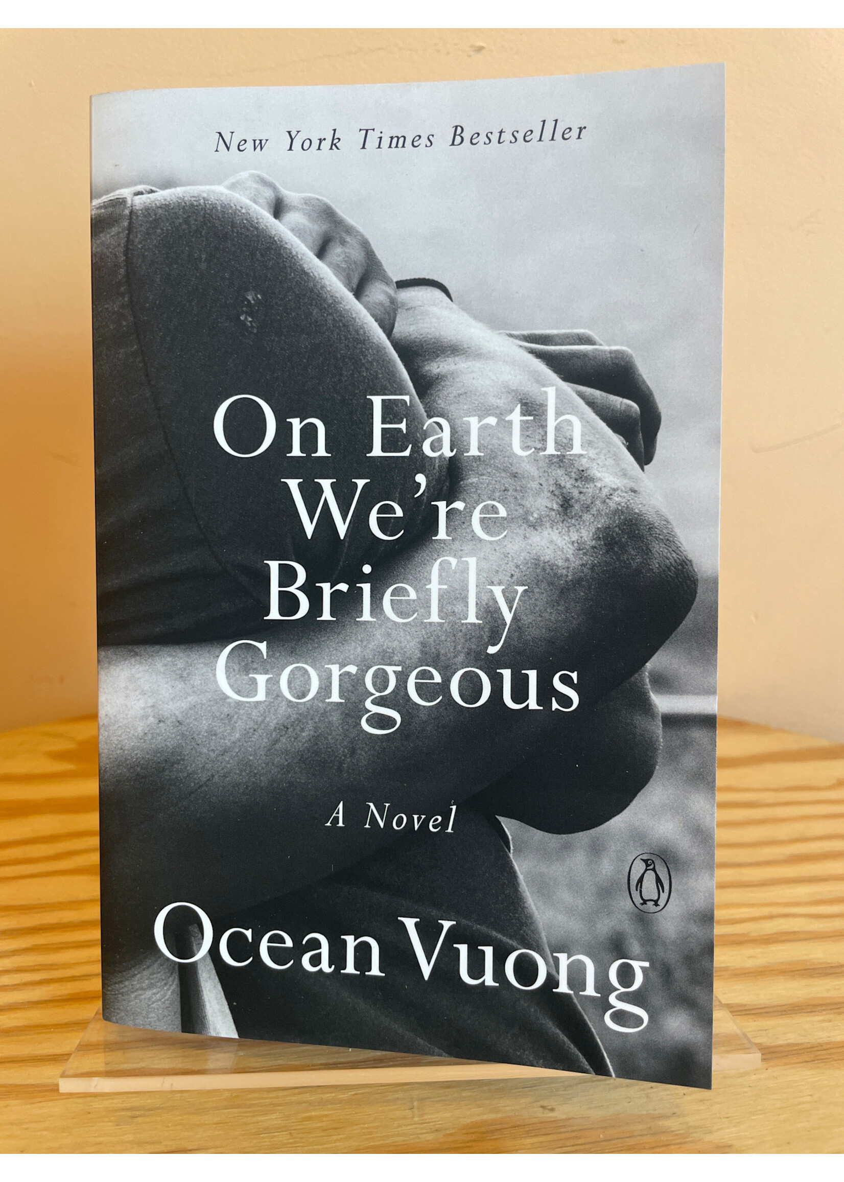 Ocean Vuong On Earth We're Briefly Gorgeous
