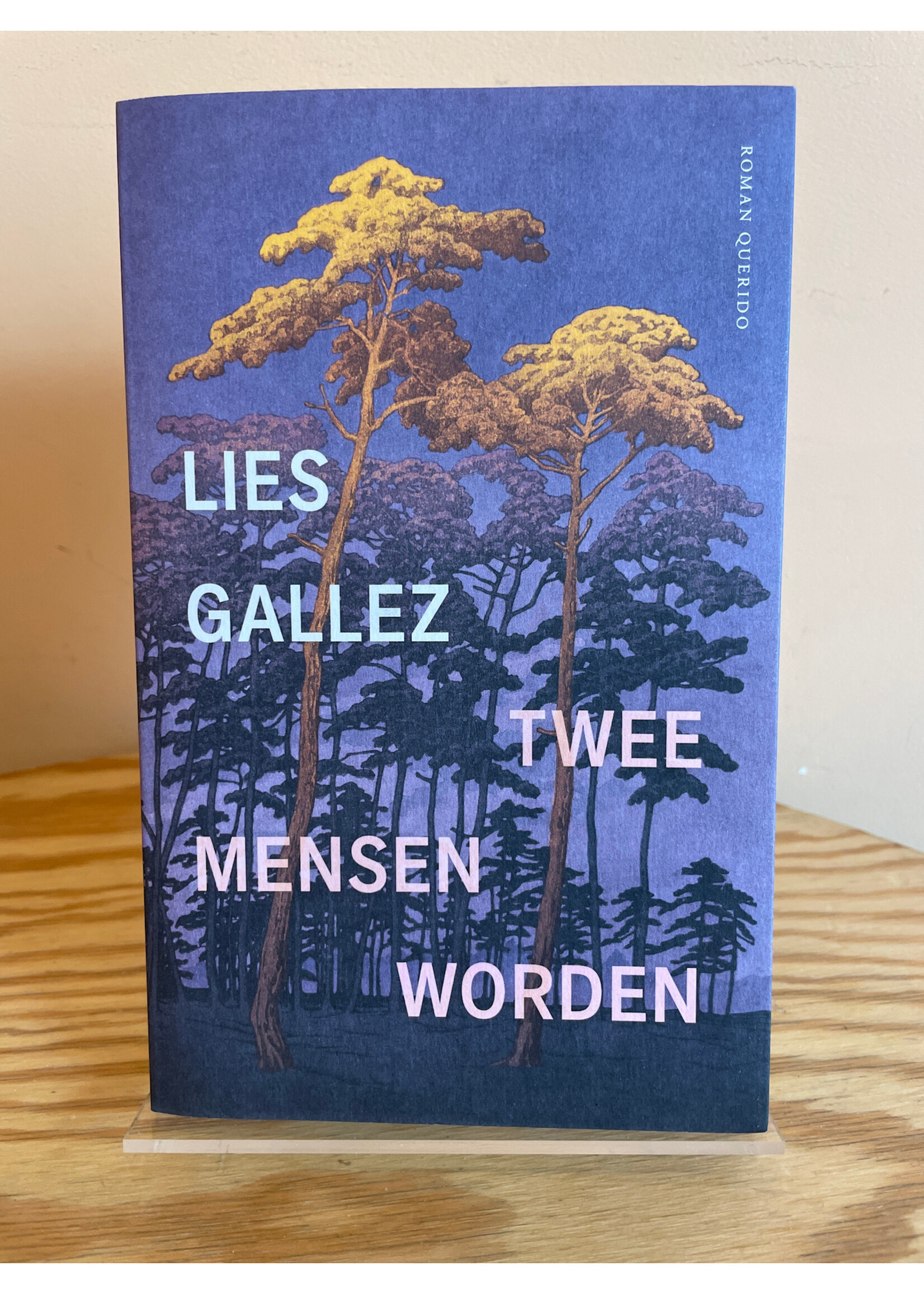 Lies Gallez Twee mensen worden