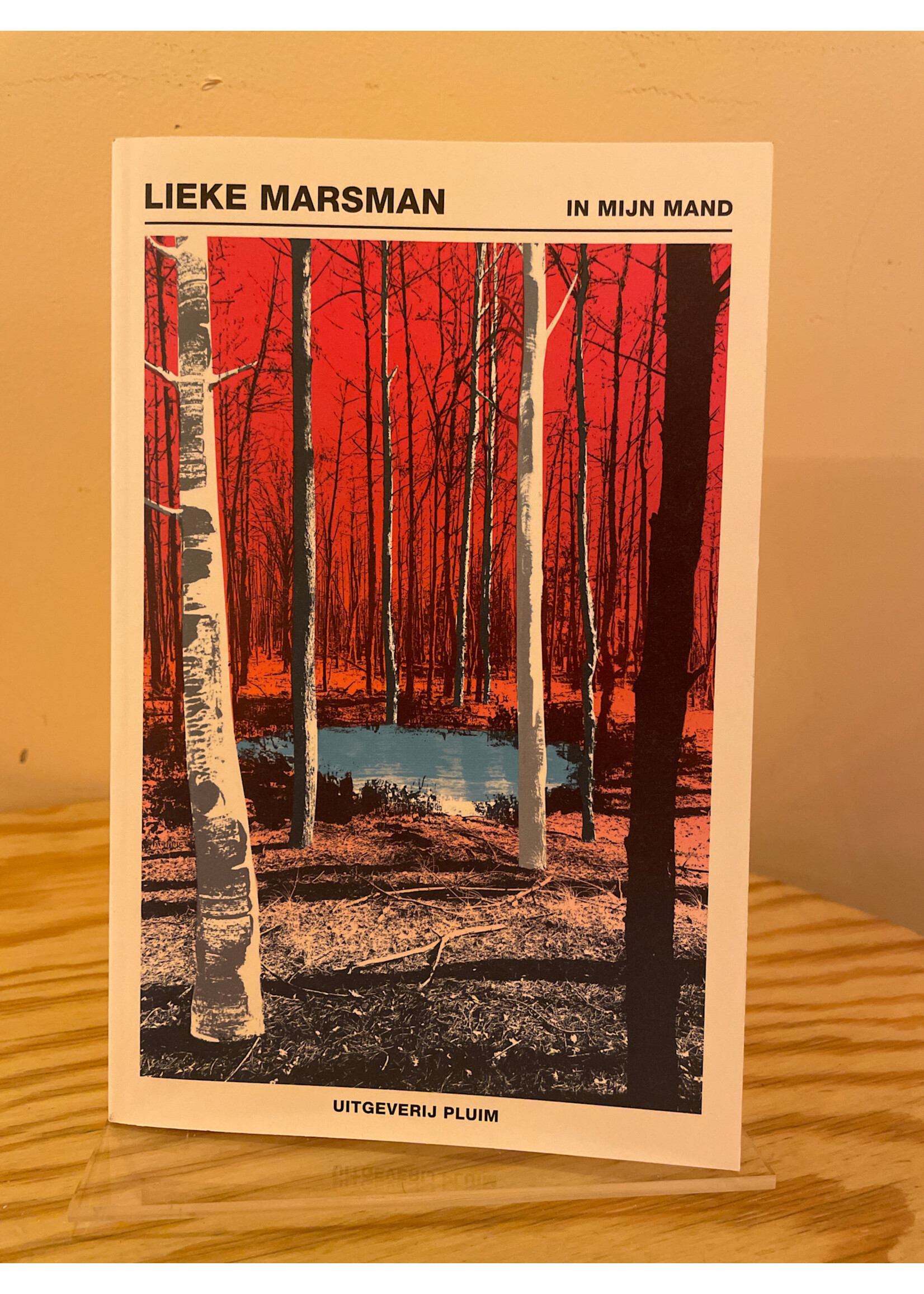 Lieke Marsman In mijn mand