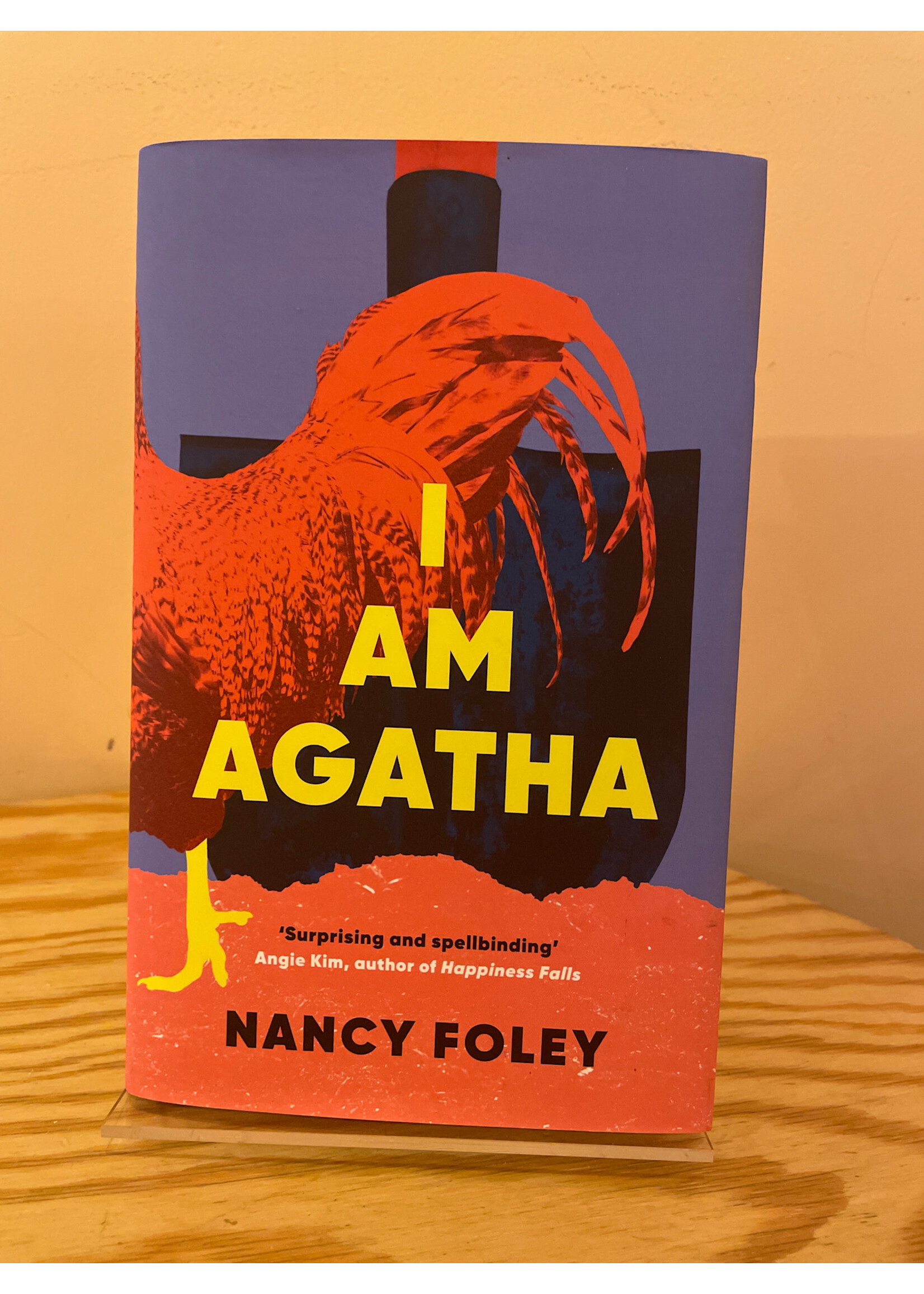 Nancy Foley I Am Agatha