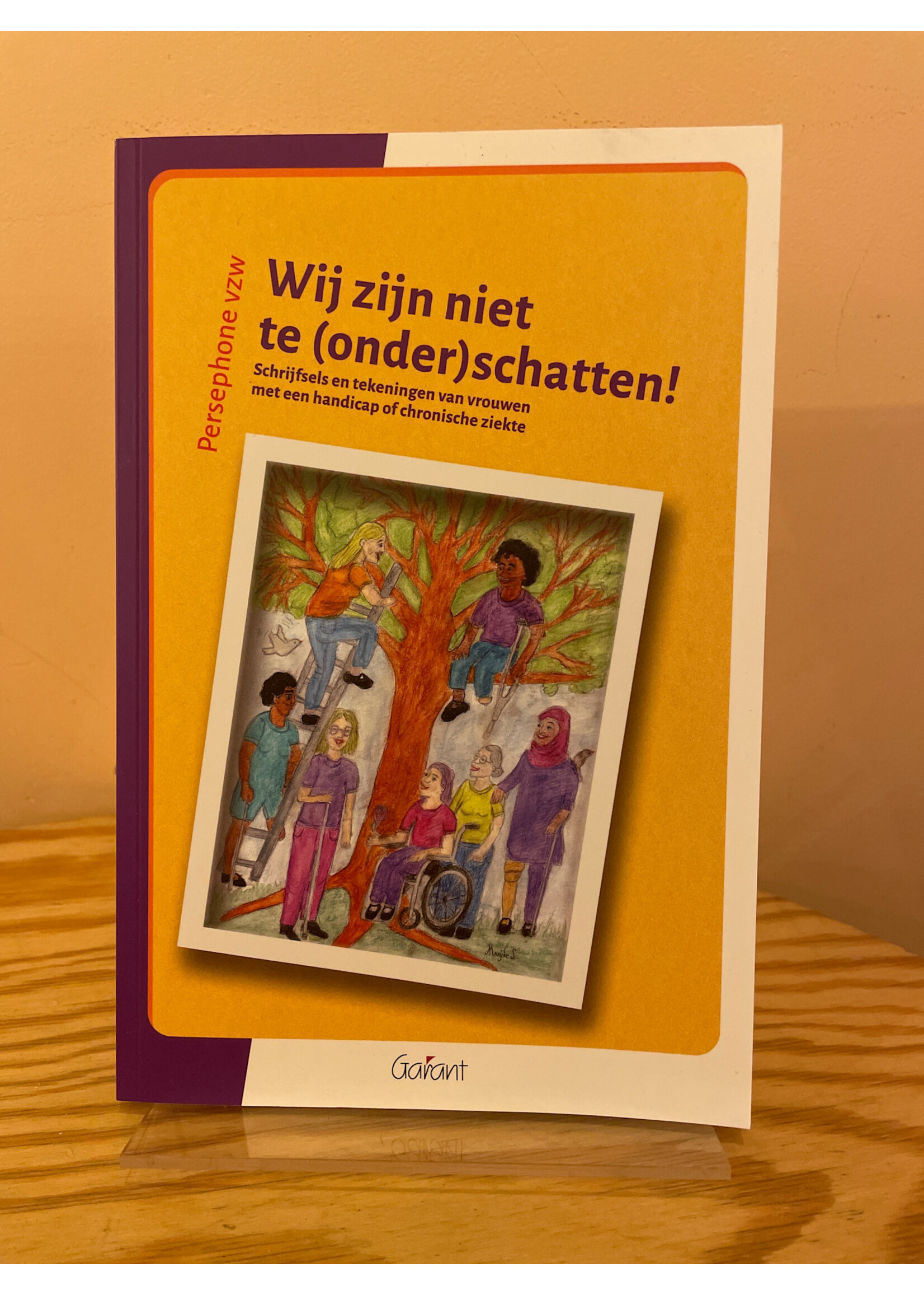 Persephone vzw Wij zijn niet te (onder)schatten!