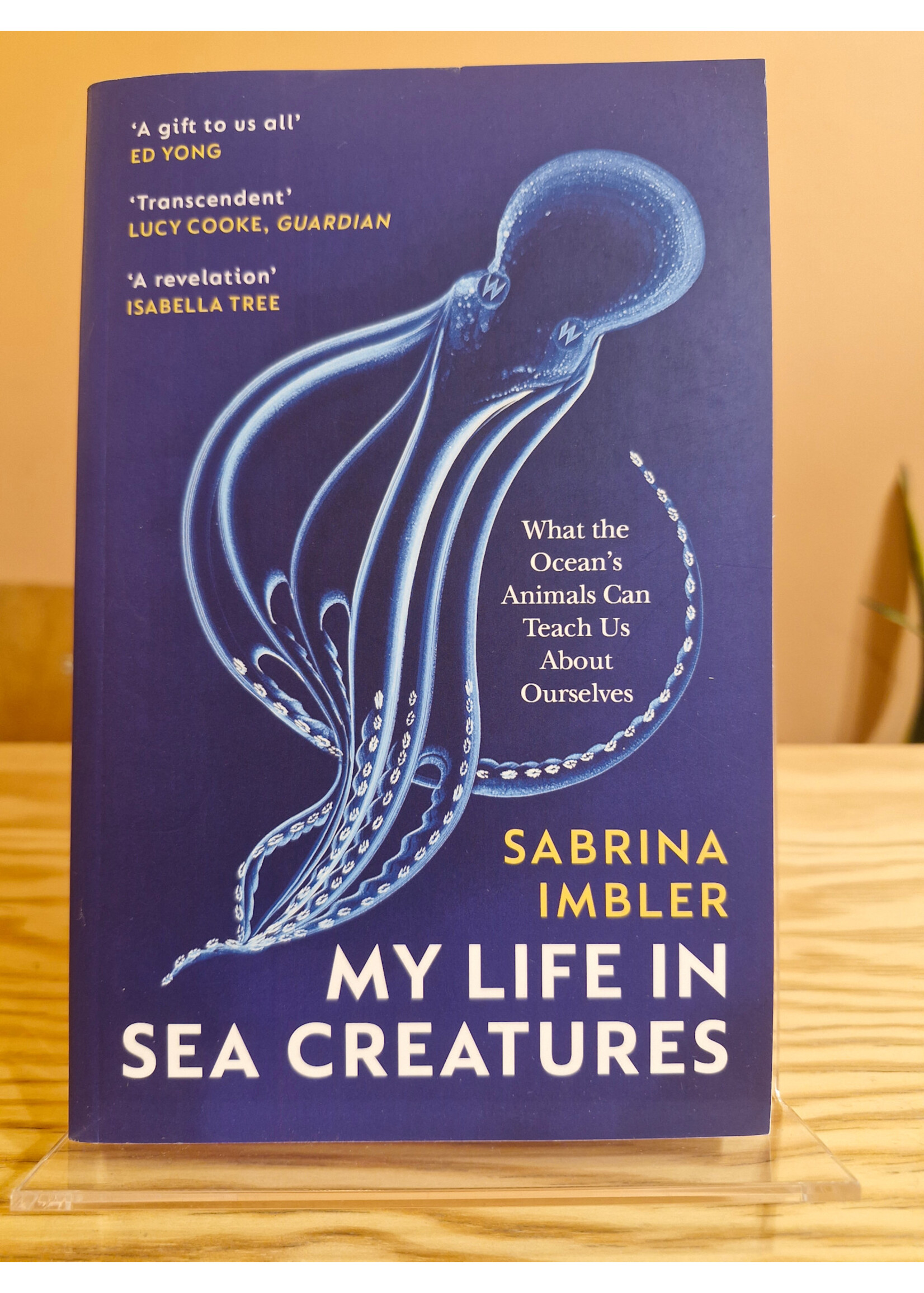 Sabrina Imbler My Life in Sea Creatures : A young queer science writer’s reflections on identity and the ocean