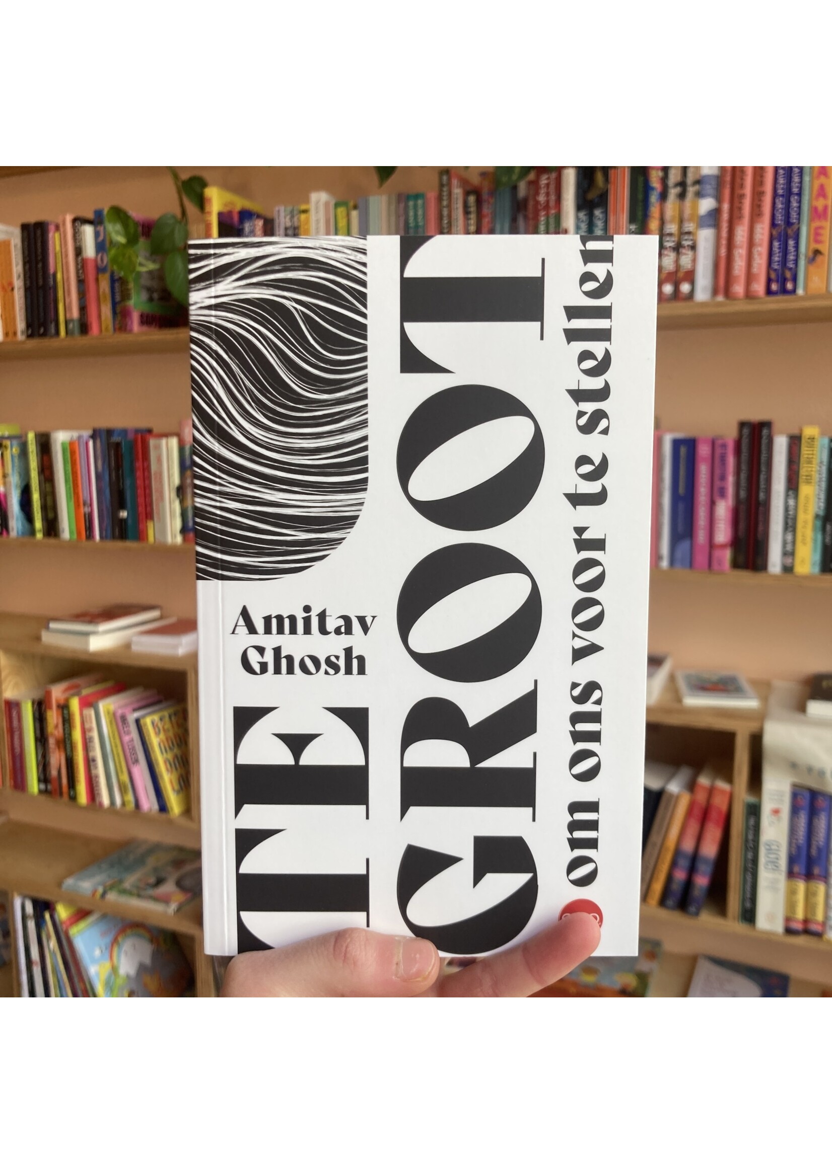 Amitav Ghosh te groot om ons voor te stellen