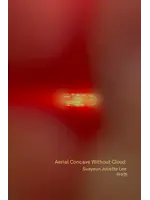 Sueyeun Juliette Lee Aerial Concave Without Cloud