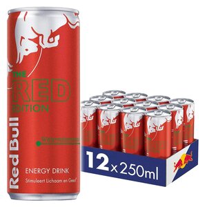 Red Bull Watermelon (S) Energy Drink