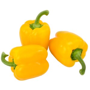 Paprika Geel