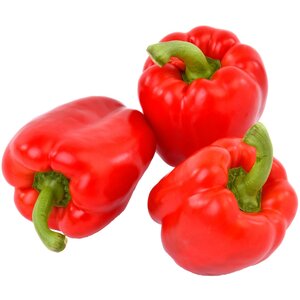 Paprika (AGF) Rood