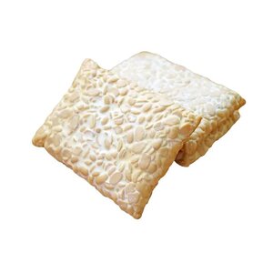 Tempeh (AGF)