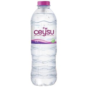Ceysu Mineraal water
