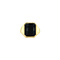 Gold signet ring with Onyx 14 krt