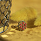 vintage Gold ring with red coral 14 krt