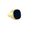 vintage Gold signet ring with blue layer stone 14 krt