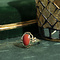 vintage Gouden ring met bloedkoraal 14 krt