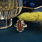 vintage Gold ring with striped agate 14 kt