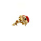 vintage Gold solitaire stud earrings with blood coral 14 kt