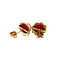 vintage Gold solitaire stud earrings with blood coral 14 kt
