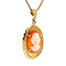vintage Gouden hanger met camee 14 krt