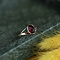 vintage Gold ring with garnet 14 krt