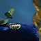 vintage Ring met peridot en diamant 9 krt