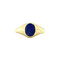 vintage Twiggy ring xxs - Starry Night