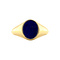 vintage Twiggy ring xs 14 krt - Starry Night