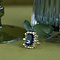 vintage Queen's ring 14 kt - Moonlight