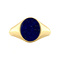 vintage Twiggy ring 14 kt - Starry Night