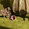 vintage Queen's ring 925 - Ruby Ruby