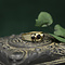 vintage Gold ring with garnet 14 krt