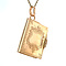 vintage Gouden boek medaillon 14 krt