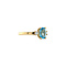 vintage Grace ring 14 krt - Poolside Party