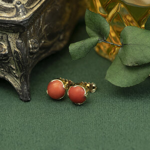 Golden solitaire stud earrings with blood coral 14 kt
