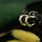vintage Golden fishermen's earrings 14 kt