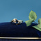 vintage Gouden ring met saffier en diamant 14 krt
