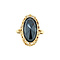 vintage Gouden ring met hematiet 14 krt