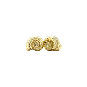 Gouden schelp oorstekers 14 krt
