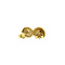 vintage Gold shell stud earrings 14 kt
