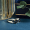 vintage Gouden ring met saffier en diamant 14 krt