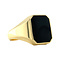 vintage Gouden zegelring met onyx 14 krt